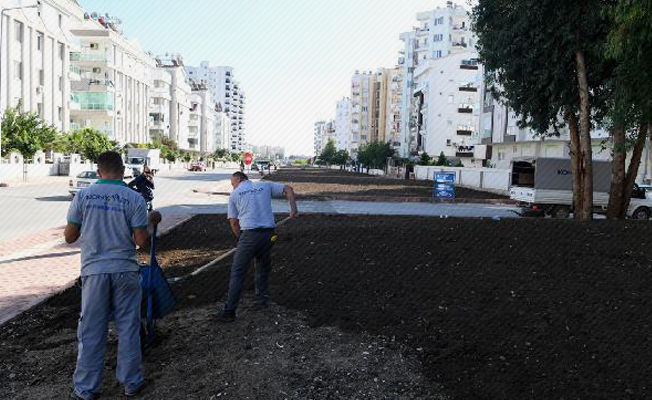 Hurma Mahallesi'nde yeşil bant çalışması Hurma Mahallesi'nde yeşil bant çalışması