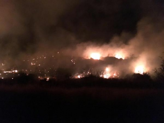 Kumluca’da orman yangını