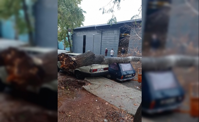 Antalya’da ağaçlar devrildi, yollar göle döndü Antalya’da ağaçlar devrildi, yollar göle döndü