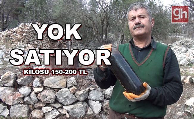 Her derde şifa! Her derde şifa!