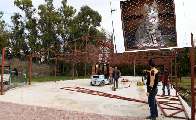 Konyaaltı Belediyesi 'kedi barınağı' inşasına başladı