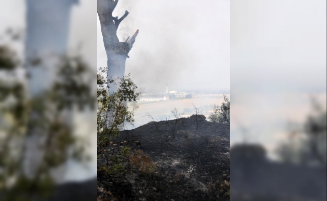 Aksu'da 2 hektar orman alanı yandı