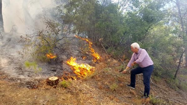CHP'li aday koca ormanı yanmaktan kurtardı