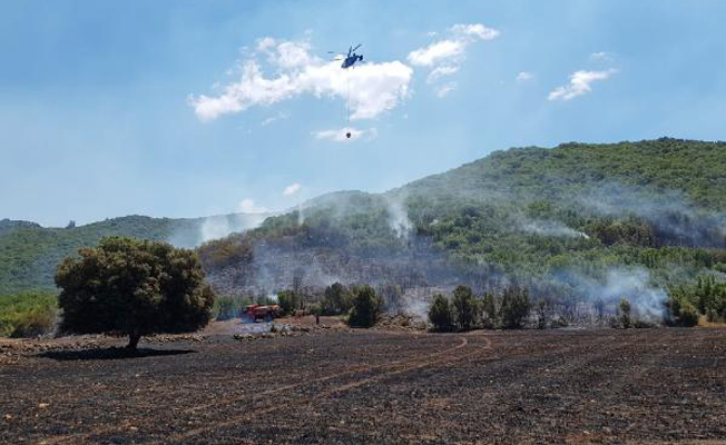 Kaş'ta orman yangını Kaş'ta orman yangını