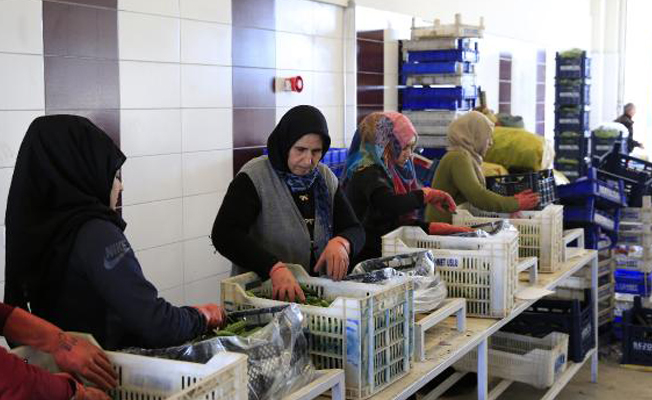 Antalya Toptancı Hali'nde rekor işlem