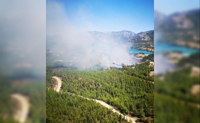 Antalya'da orman yangını