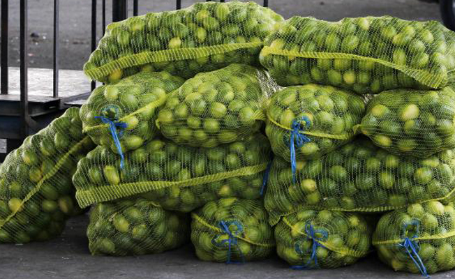 Limon fiyatına 'turfanda' ayarı