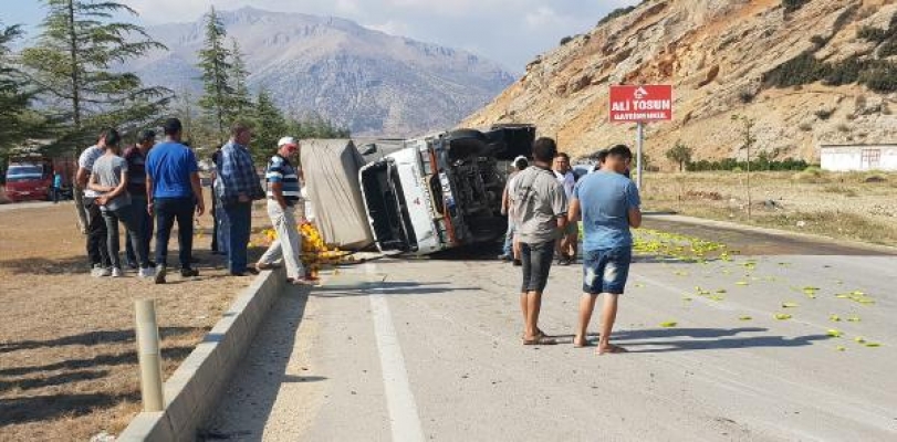 Sebze yüklü kamyonet devrildi