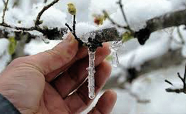 Meteoroloji'den 3 il için don uyarısı