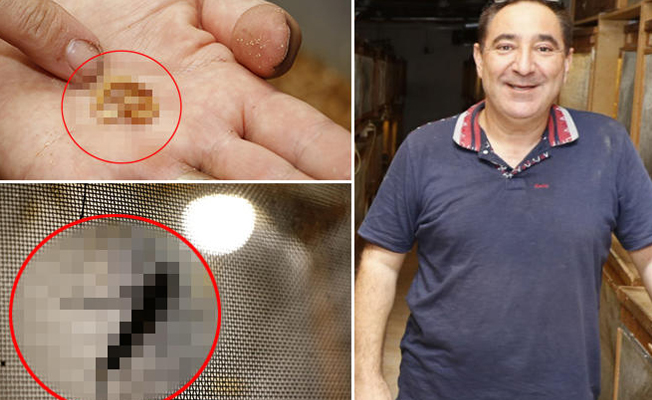 Ürettiğini görenler şaşırdı! ’10 sene sonra talep artacak’ dedi Ürettiğini görenler şaşırdı! ’10 sene sonra talep artacak’ dedi