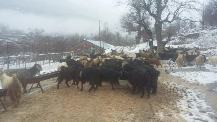 Mahsur kalan çobanlar kurtarıldı