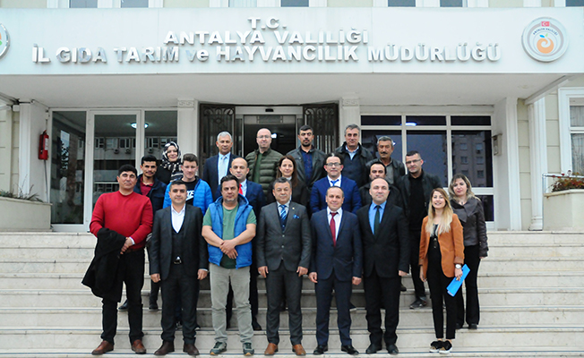 Gelin kardeş olalım projesi