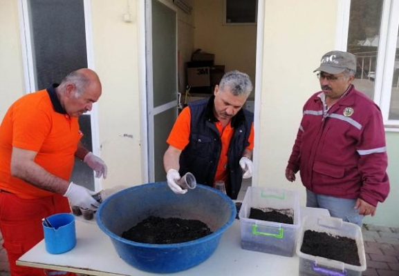 Manavgat'ta orman zararlılarıyla biyolojik mücadele