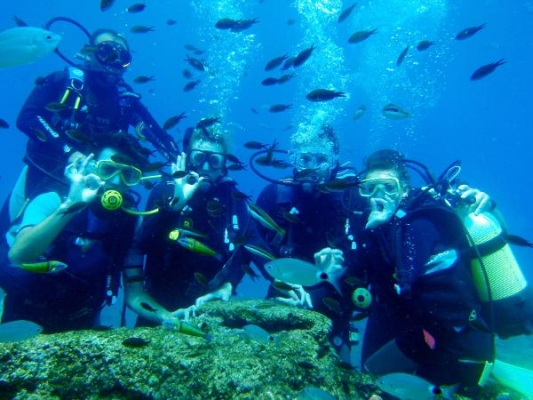 Turistler, Antalya'nın sualtı zenginliklerini keşfediyor