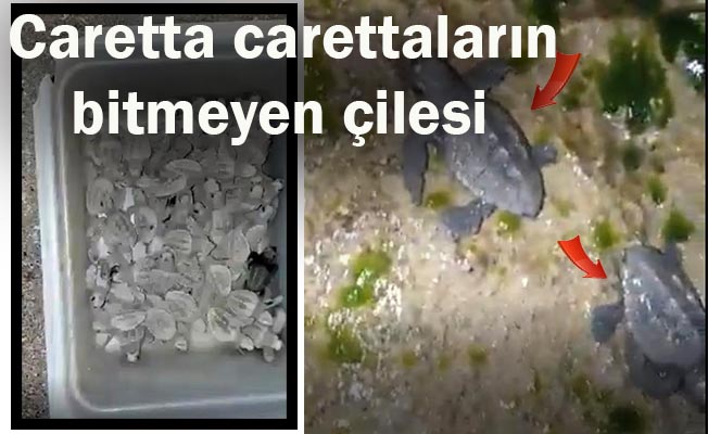 Bu sefer de kovaya koyup, denize bıraktılar