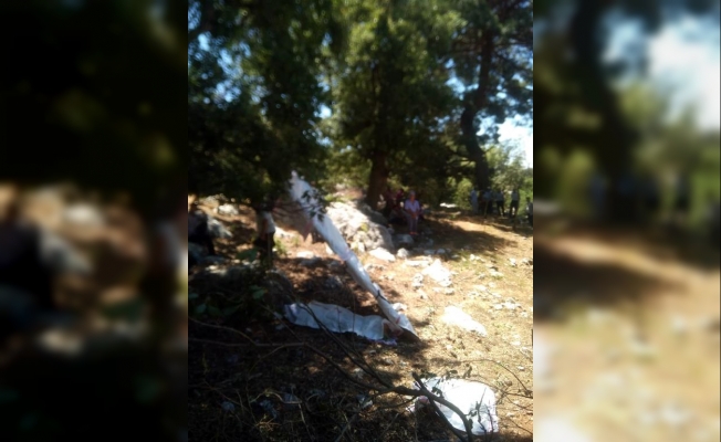 Dal kesmek için çıktığı ağaçtan düşüp öldü Dal kesmek için çıktığı ağaçtan düşüp öldü