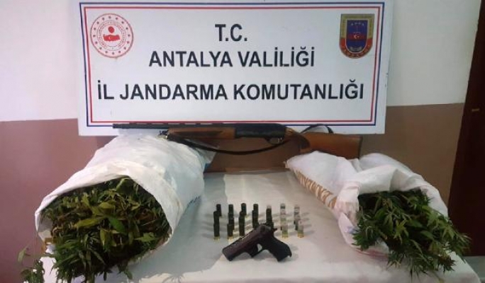 Ormanda uyuşturucu yetiştiren şüpheli tutuklandı