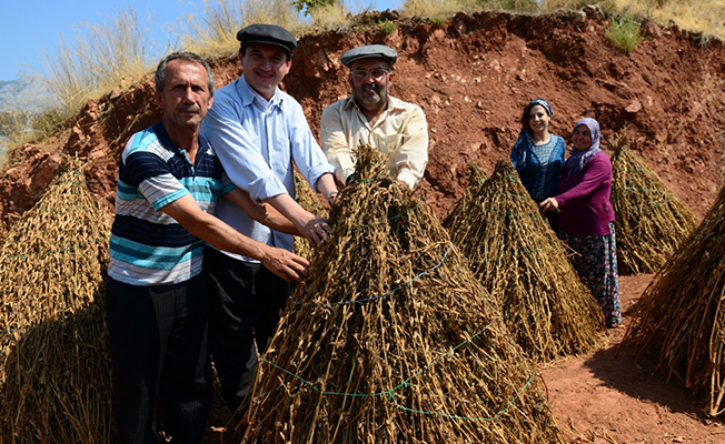 70 YIL SONRA YENİDEN