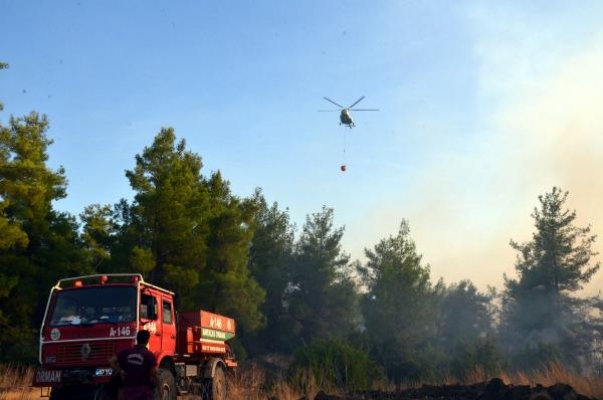 Antalya'daki orman yangını kontrol altına alındı