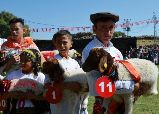 ELMALI'DA RENKLİ ÇOBAN FESTİVALİ