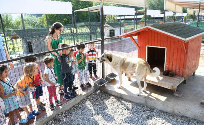 Köpeğin kalp atışını dinlediler