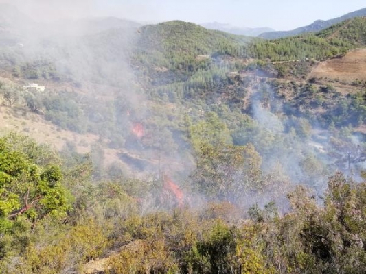 Gazipaşa'da bu yıl 8 orman yangını çıktı