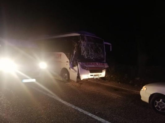 Kemer'de otomobilin çarptığı at öldü, 4 kişi yaralandı