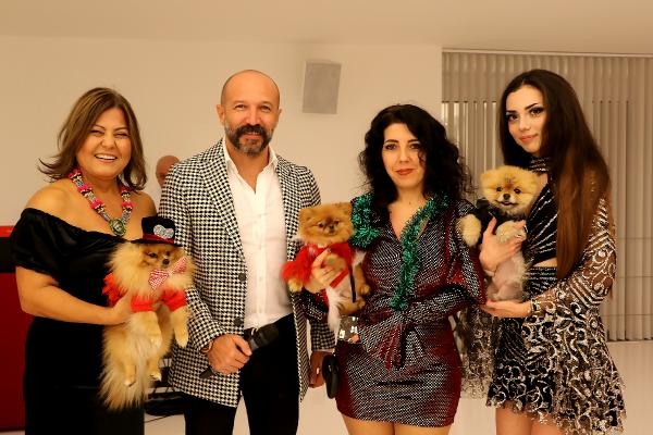 'Pomeranian' cinsi köpekler yarıştı