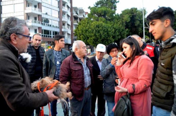 Sokak köpeği, süs köpeğini parçaladı