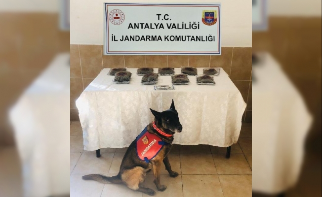 Antalya'da uyuşturucu operasyonu: 1 tutuklama