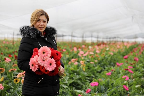 Avrupalı sevgililere 60 milyon dal çiçek gönderildi