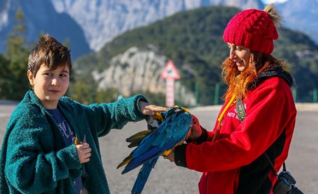 Tünektepe'nin maskotları