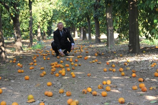 Türkiye, Kanada arasında fotoğraf bağı