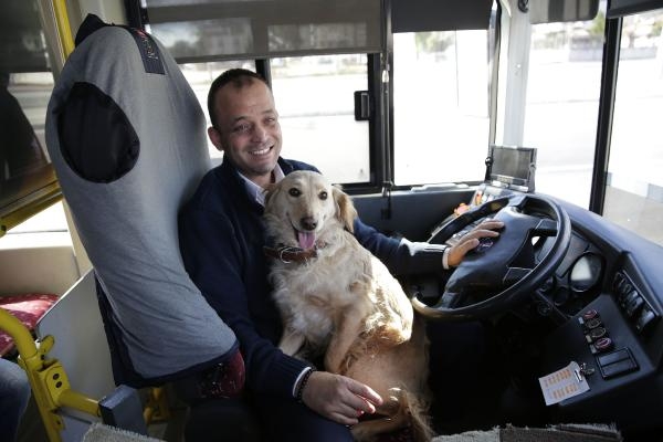 Üşüyen köpek yolcularla şehir turu attı