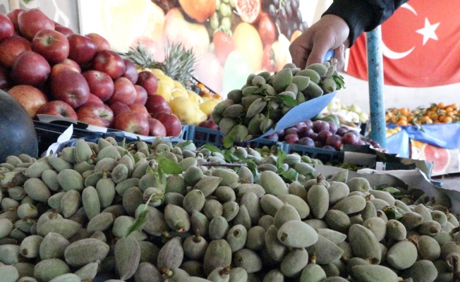 Antalya'da çağla sezonu açıldı