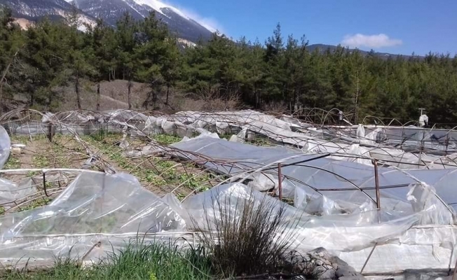 Kaş’ta hortum seraları vurdu