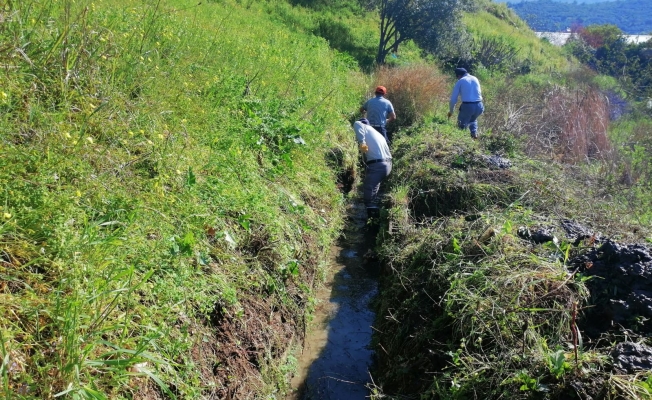 Alanya’da sulama kanalları temizleniyor