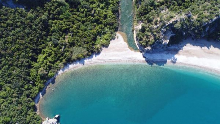 Caretta carettaların sahillerinde 'koronavirüs' sessizliği