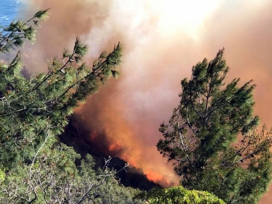 Gazipaşa’daki orman yangını 9 saatte kontrol altına alındı