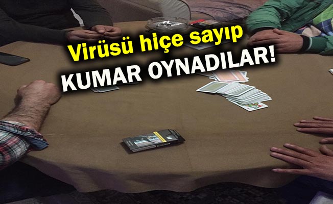 Jandarma baskın düzenledi