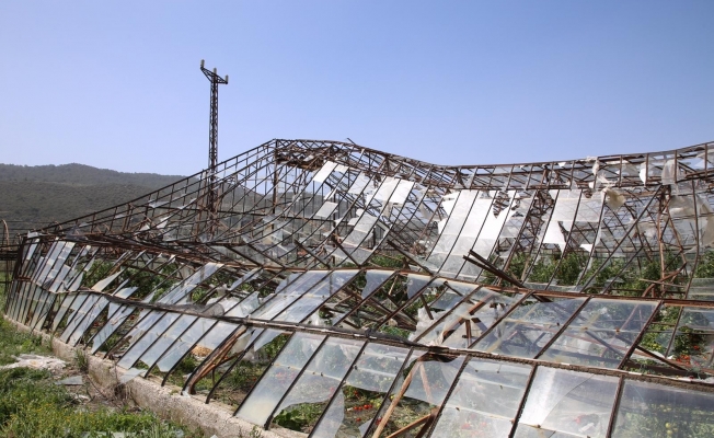 Seralardaki hasar günün ağarması ile ortaya çıktı