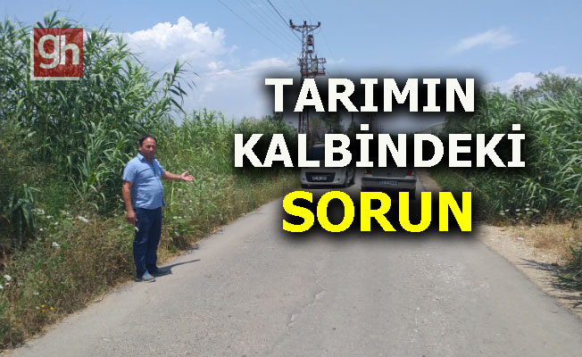 "Yurt dışında ki imajımızı da zedeliyor”