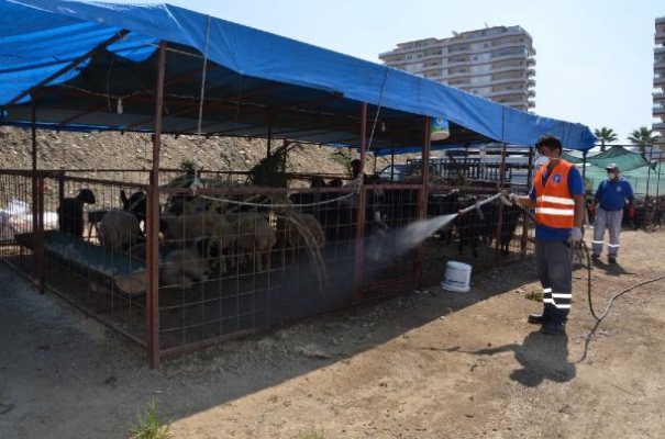 Kurban satış pazarları ilaçlanıyor