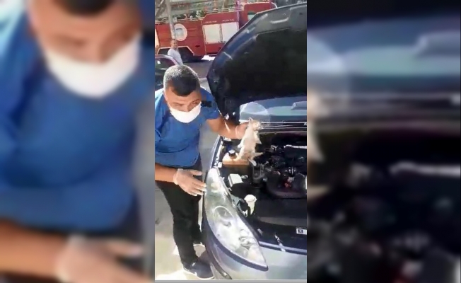 Motor kaputuna sıkışan yavru kedi kurtarıldı