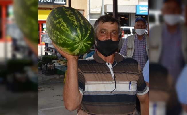 Yayla karpuzu pazarda