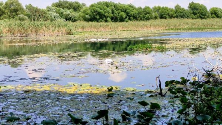 Antalya'nın su deposu Kırkgöz'de, 'çekilme' ve 'kirlilik' uyarısı