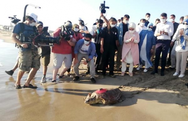 Caretta 'Likya' Libya'ya, 'Patara' Meis'e gitti