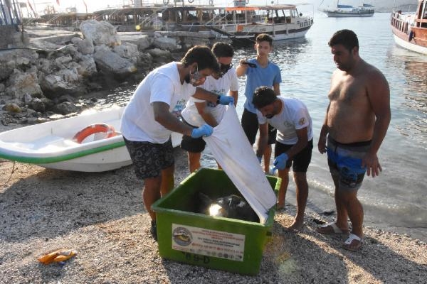 Yaralı yeşil deniz kaplumbağası, 3 saatte kurtarıldı