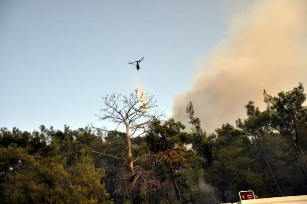 Kemer’de orman yangını  2 saatte söndürüldü