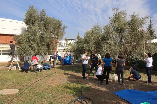 Özel öğrencilerden zeytin hasadı